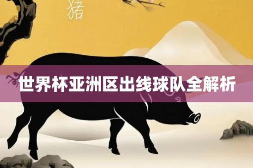 世界杯亚洲区出线球队全解析