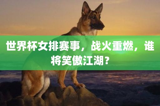 世界杯女排赛事，战火重燃，谁将笑傲江湖？