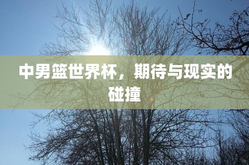 中男篮世界杯，期待与现实的碰撞