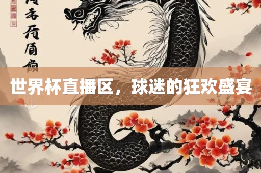 世界杯直播区，球迷的狂欢盛宴