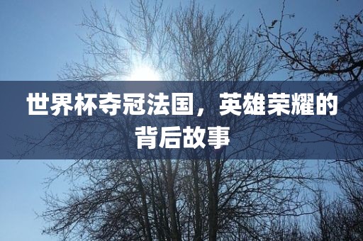 世界杯夺冠法国，英雄荣耀的背后故事