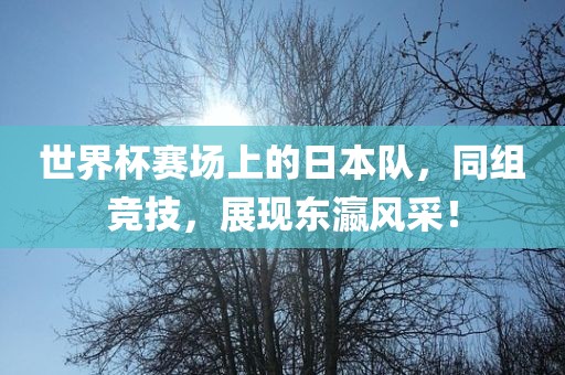 世界杯赛场上的日本队，同组竞技，展现东瀛风采！