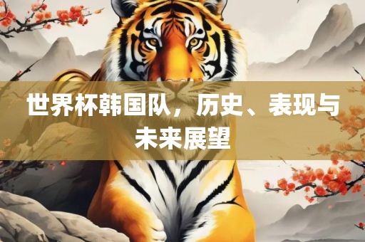 世界杯韩国队，历史、表现与未来展望