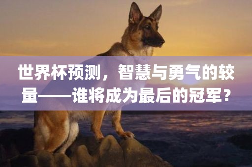 世界杯预测，智慧与勇气的较量——谁将成为最后的冠军？