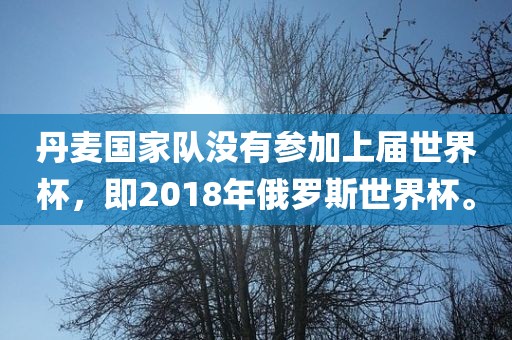 丹麦国家队没有参加上届世界杯，即2018年俄罗斯世界杯。