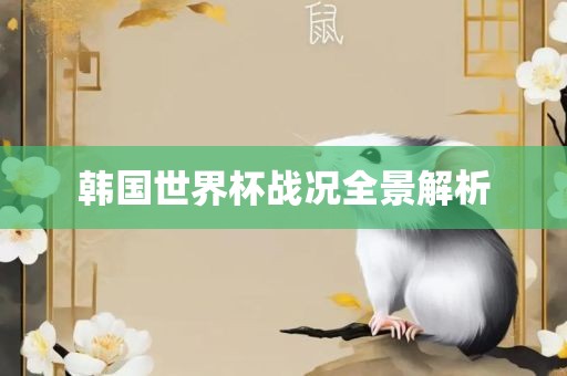 韩国世界杯战况全景解析