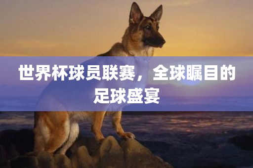 世界杯球员联赛，全球瞩目的足球盛宴