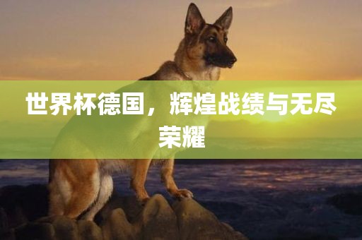 世界杯德国，辉煌战绩与无尽荣耀