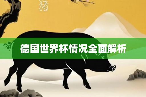 德国世界杯情况全面解析