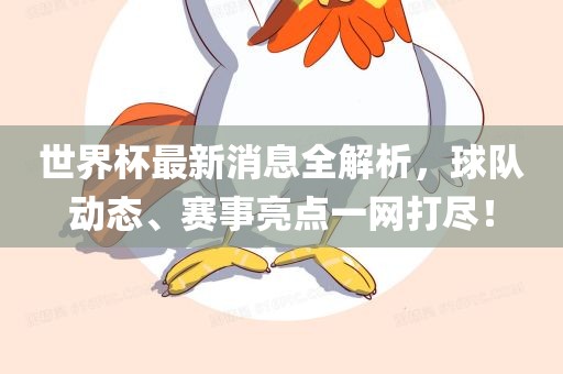 世界杯最新消息全解析，球队动态、赛事亮点一网打尽！