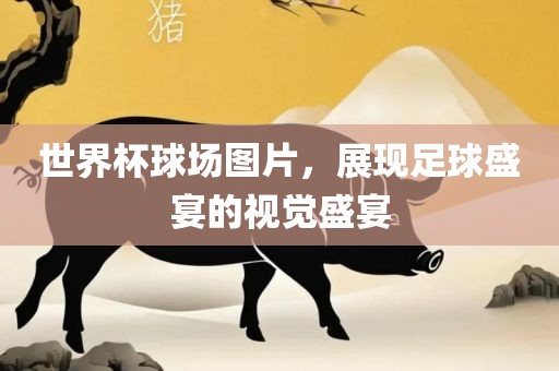 世界杯球场图片，展现足球盛宴的视觉盛宴