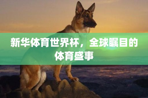 新华体育世界杯，全球瞩目的体育盛事