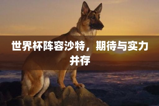 世界杯阵容沙特，期待与实力并存