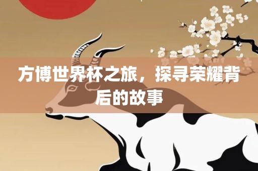 方博世界杯之旅，探寻荣耀背后的故事