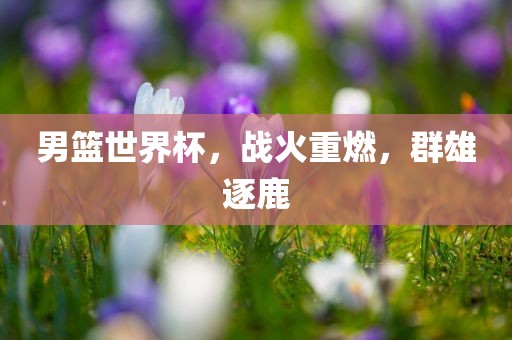 男篮世界杯，战火重燃，群雄逐鹿