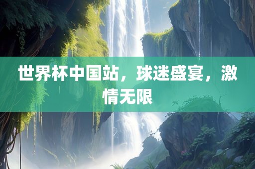 世界杯中国站，球迷盛宴，激情无限