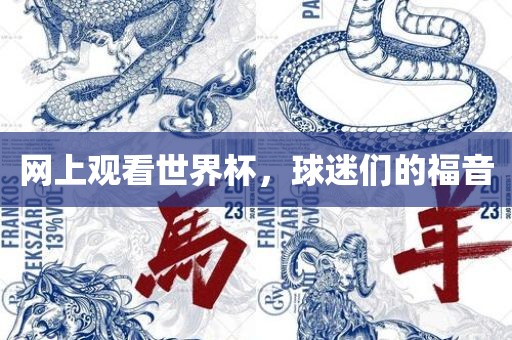 网上观看世界杯，球迷们的福音