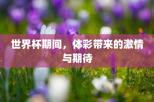 世界杯期间，体彩带来的激情与期待