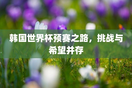 韩国世界杯预赛之路，挑战与希望并存