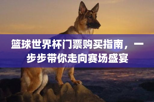 篮球世界杯门票购买指南，一步步带你走向赛场盛宴