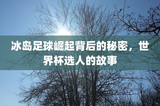 冰岛足球崛起背后的秘密，世界杯选人的故事