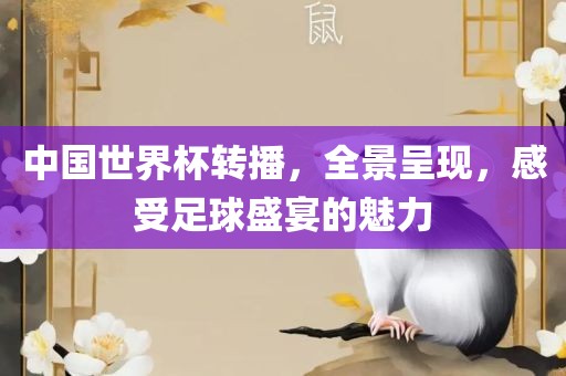 中国世界杯转播，全景呈现，感受足球盛宴的魅力