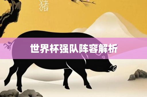 世界杯强队阵容解析
