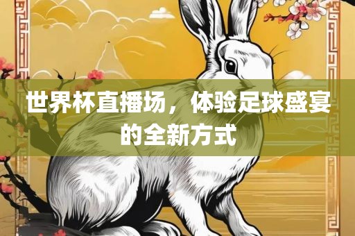 世界杯直播场，体验足球盛宴的全新方式