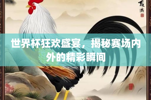 世界杯狂欢盛宴，揭秘赛场内外的精彩瞬间
