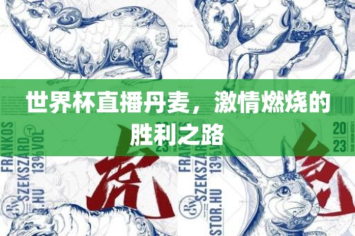 世界杯直播丹麦，激情燃烧的胜利之路