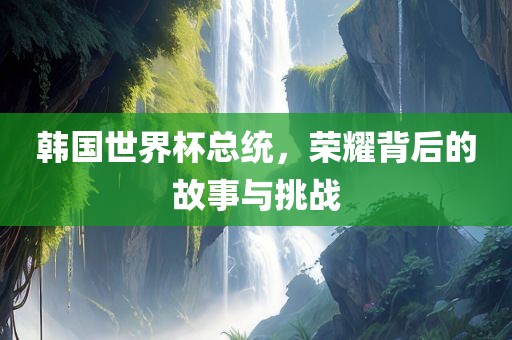 韩国世界杯总统，荣耀背后的故事与挑战