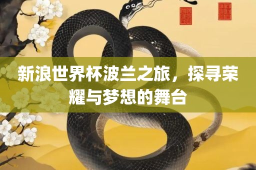新浪世界杯波兰之旅，探寻荣耀与梦想的舞台