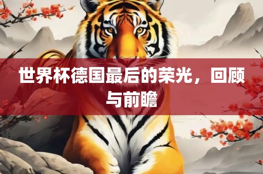 世界杯德国最后的荣光，回顾与前瞻