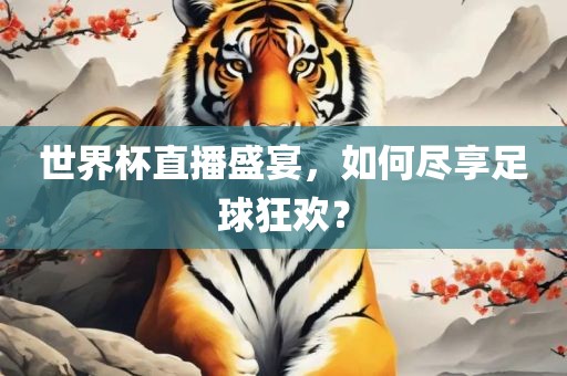 世界杯直播盛宴，如何尽享足球狂欢？