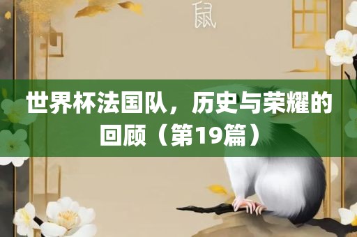 世界杯法国队，历史与荣耀的回顾（第19篇）