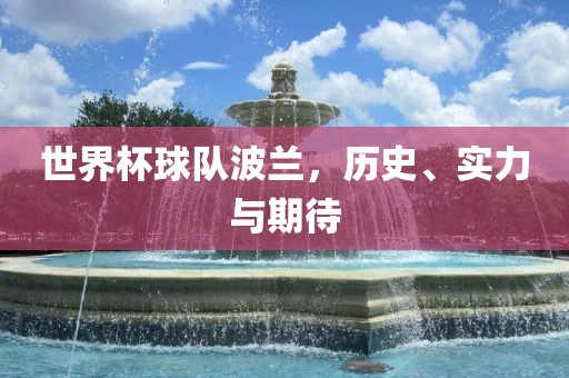 世界杯球队波兰，历史、实力与期待