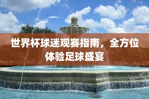 世界杯球迷观赛指南，全方位体验足球盛宴