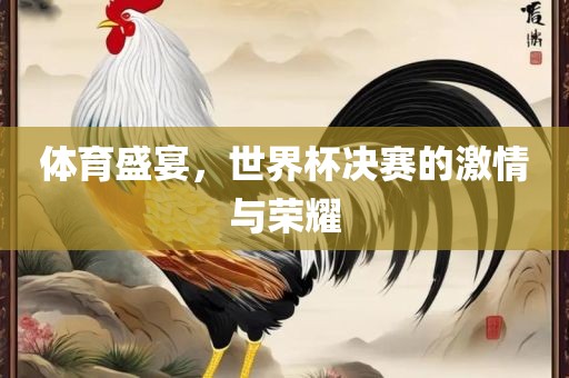 体育盛宴，世界杯决赛的激情与荣耀