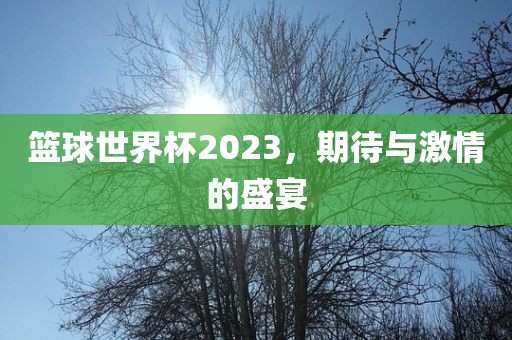 篮球世界杯2023，期待与激情的盛宴