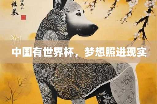 中国有世界杯，梦想照进现实