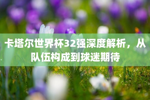 卡塔尔世界杯32强深度解析，从队伍构成到球迷期待