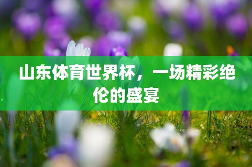 山东体育世界杯，一场精彩绝伦的盛宴