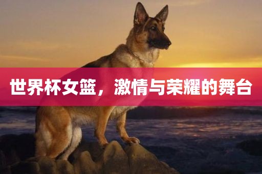 世界杯女篮，激情与荣耀的舞台