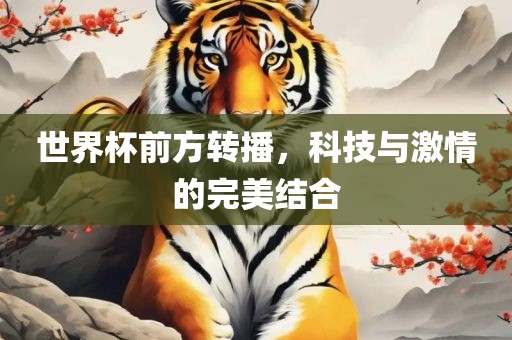 世界杯前方转播，科技与激情的完美结合