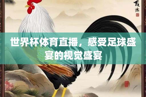 世界杯体育直播，感受足球盛宴的视觉盛宴