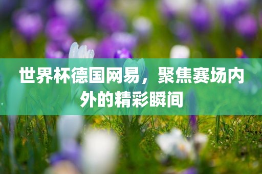 世界杯德国网易，聚焦赛场内外的精彩瞬间
