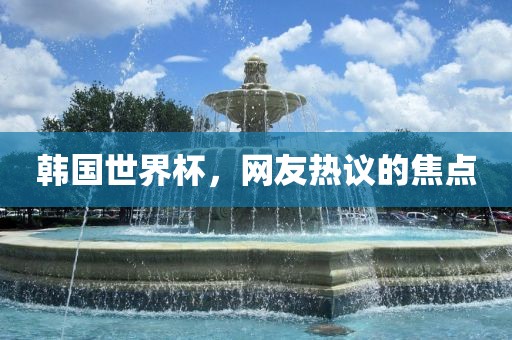 韩国世界杯，网友热议的焦点