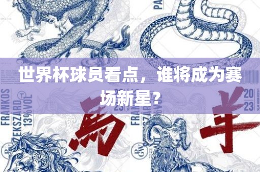 世界杯球员看点，谁将成为赛场新星？