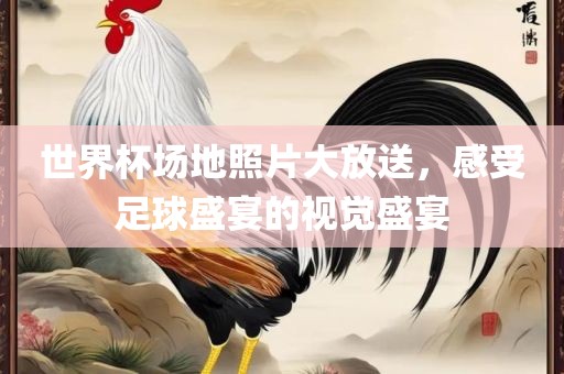 世界杯场地照片大放送，感受足球盛宴的视觉盛宴