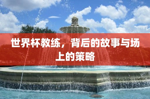 世界杯教练，背后的故事与场上的策略